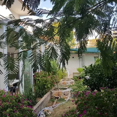 Bed & Breakfast Aurora 4*