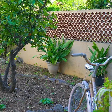 Aurora Alojamento de Acomodação e Pequeno-almoço 4*