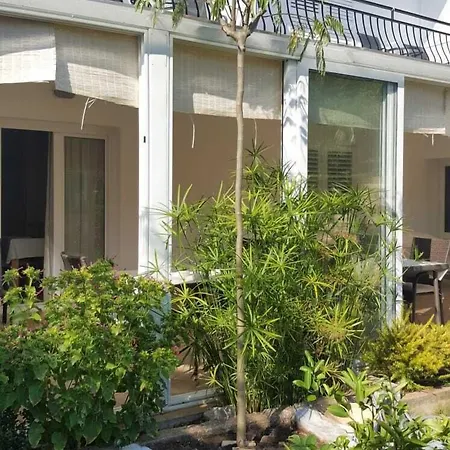 Aurora Bed & Breakfast