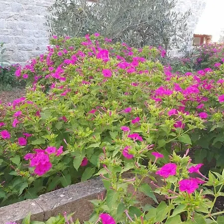 Aurora 4* Jelsa (Hvar)