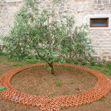 Alojamento de Acomodação e Pequeno-almoço Aurora 4*