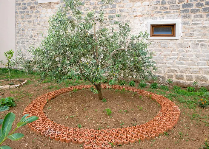 Bed & Breakfast Aurora 4*