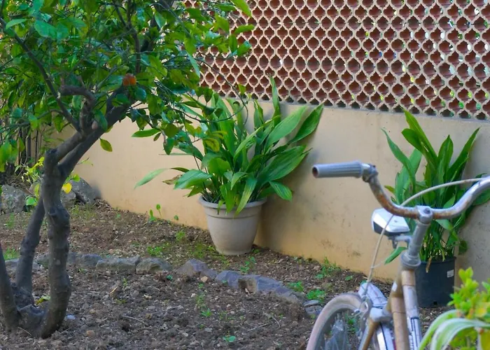 Aurora Oda ve Kahvaltı 4*